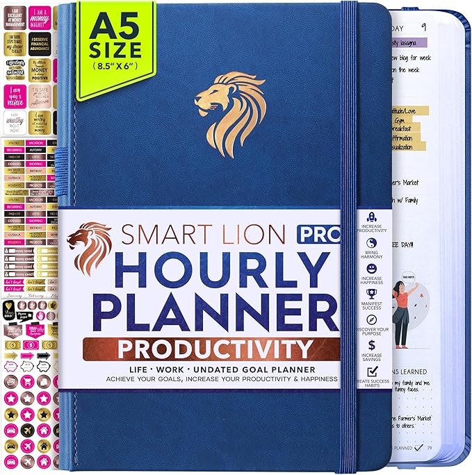 Hourly Planner - Undated Daily, Weekly & Monthly Planner with Budget Section | A 12 Month Journey to Increase Productivity & Happiness | Life Organizer & Gratitude Journal - Vertical Format-DeskLoop Office