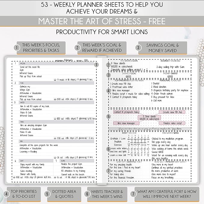 Life Planner - Undated Daily, Weekly & Monthly Planner with Budget Section | A 12 Month Journey to Increase Productivity & Happiness | Life Organizer & Gratitude Journal - Horizontal Format-DeskLoop Office