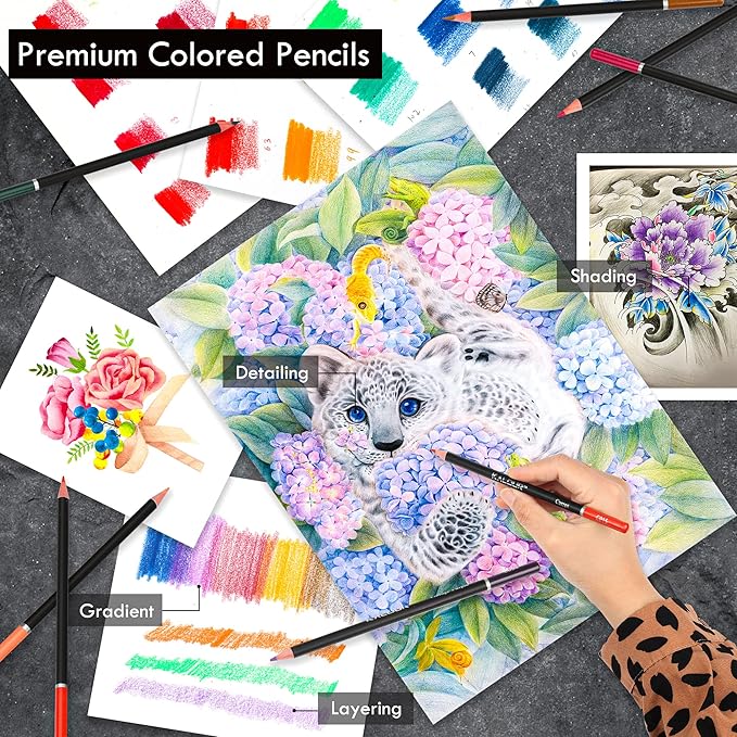 KALOUR Premium 144 Drawing Pencil Set,including 120 Colored Pencils and 24 Sketch Kit,Art Pencil Kit in Zippered Travel Case, for Drawing,Sketching and Coloring,Ideal for Beginner,Artists and Adults-DeskLoop Office