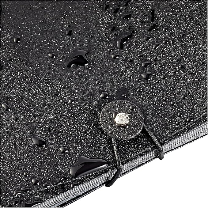 Amazon Basics Expanding Organizer File Folder, Letter Size - Black, 1-Pack-DeskLoop Office