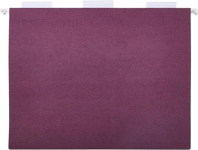 Amazon Basics Hanging File Folders, Sturdy, Letter Size, 25-Pack, Assorted Jewel-tone Colors-DeskLoop Office
