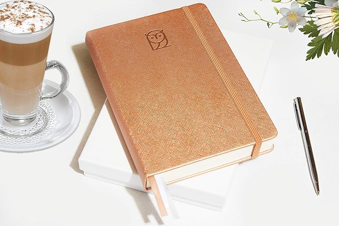 Undated Daily Planner – 6-Month A5 Productivity Organizer with Full Page Per Day, Hourly Schedule, Goal Setting, Habit Tracker, Weekly & Monthly Pages – Hardcover Time Management Notebook (Rose Gold)-DeskLoop Office