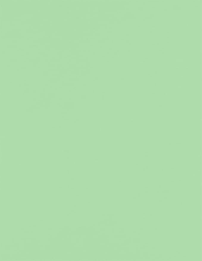 LUXPaper 8.5" x 11" Paper | Letter Size | Pastel Green | 60lb. Text | 500 Qty by LUXPaper