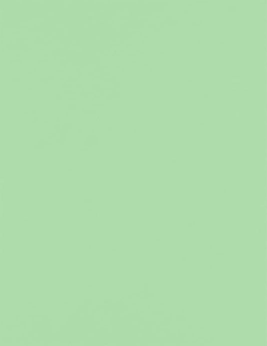 LUXPaper 8.5" x 11" Paper | Letter Size | Pastel Green | 60lb. Text | 500 Qty by LUXPaper
