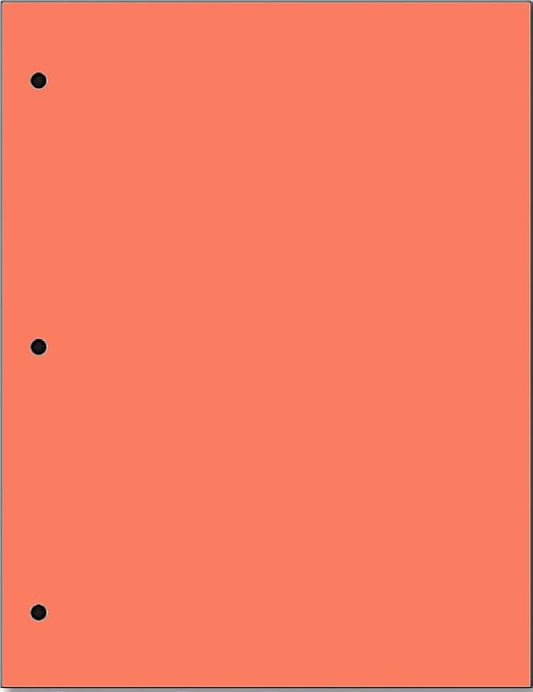 Copy And Printing Color Paper, 20 Lb. 3 Hole Punch 500 Sheets Per Ream. by Limited+Papers