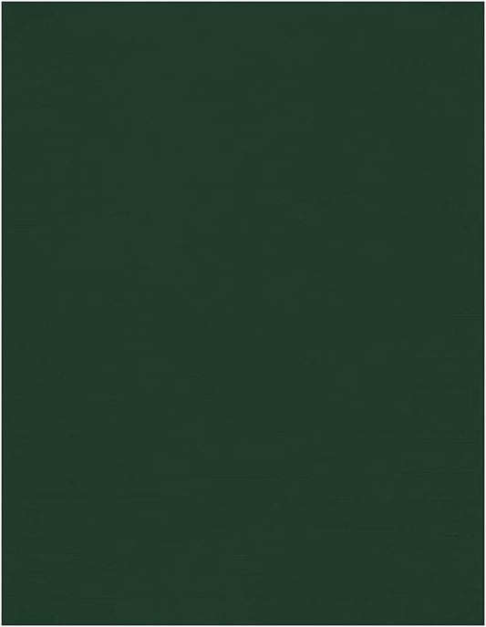 LUXPaper 8.5" x 11" Cardstock | Letter Size | Green Linen | 100lb. Cover | 50 by LUXPaper