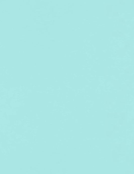 LUXPaper 8.5" x 11" Paper | Letter Size | Seafoam Blue | 80lb. Text | 50 Qty by LUXPaper