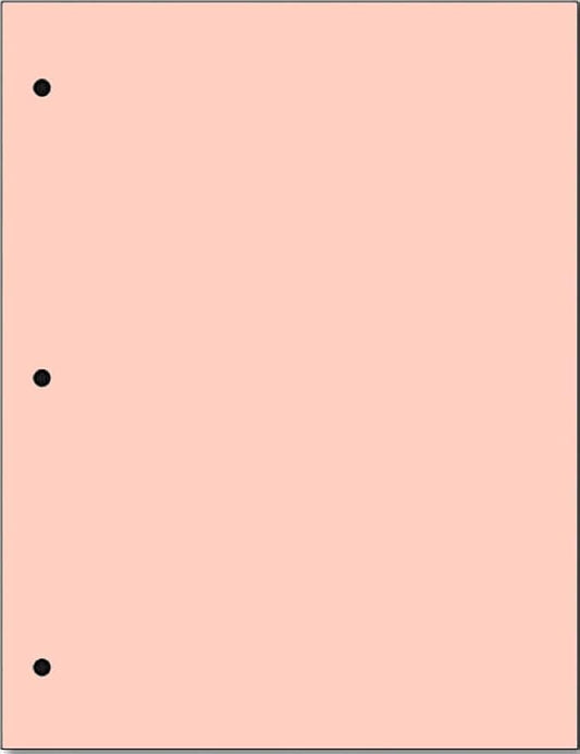 Copy And Printing Color Paper, 20 Lb. 3 Hole Punch 500 Sheets Per Ream. by Limited+Papers
