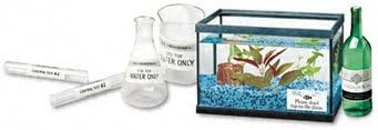 Avery Durable Waterproof Address Labels - Image 4