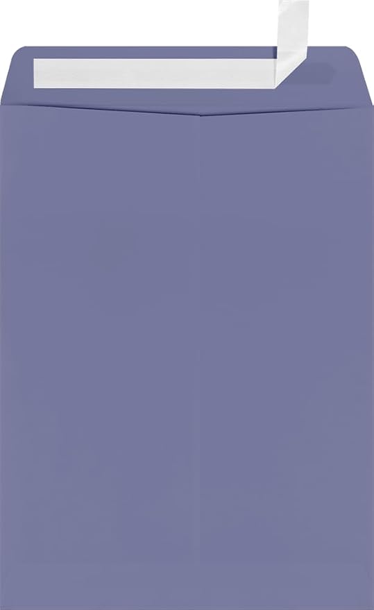 LUXPaper 9 x 12 Open End Envelopes | Peel & Press | Wisteria Purple | 80lb. by LUXPaper