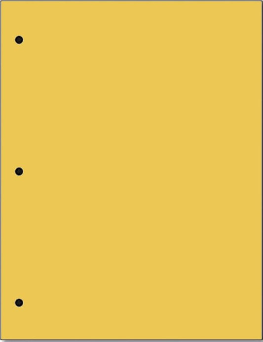Copy And Printing Color Paper, 20 Lb. 3 Hole Punch 500 Sheets Per Ream. by Limited+Papers