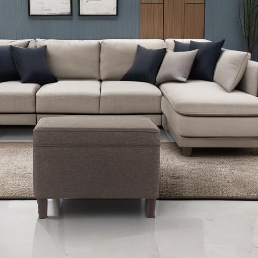 Home Decor | Dinah Collection Modern Storage Ottoman | Ottoman with Storage for Living Room & Bedroom (Chocalate Brown)-DeskLoop Office