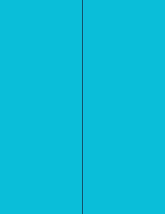 NextDayLabels - 8-1/2 x 11 Neon Color High Light Fluorescent Labels by NextDayLabels