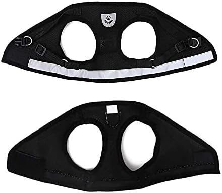 FEimaX Dog Harness and Leash Set - Image 6