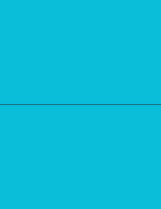 NextDayLabels - 8-1/2 x 11 Neon Color High Light Fluorescent Labels by NextDayLabels