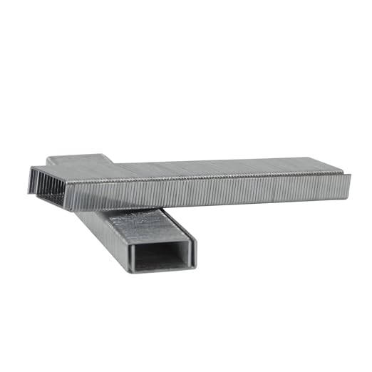 Rayson Heavy Duty Staples, Enhanced 1/4" Leg Length, 1/2" Width, 2000 Staples by RAYSON
