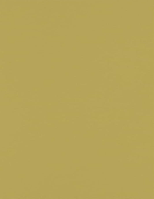 LUXPaper 8.5" x 11" Paper | Letter Size | Olive Green | 70lb. Text | 50 Qty by LUXPaper