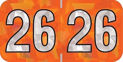 2026 Year Labels, Doctor Stuff 2026 Chart Stickers, Holographic Orange Colored by DoctorStuff