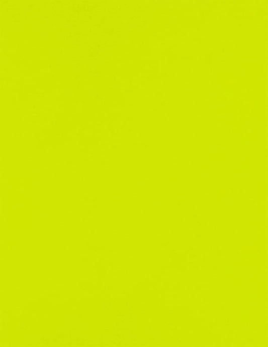 LUXPaper 8.5" x 11" Paper | Letter Size | Wasabi Green | 80lb. Text | 50 Qty by LUXPaper