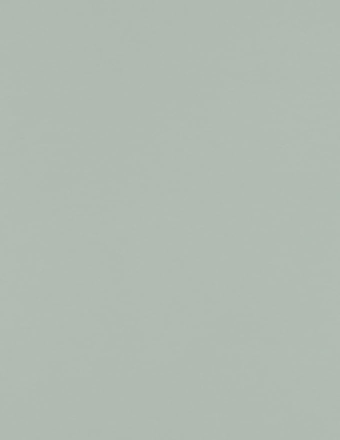 LUXPaper 8.5" x 11" Paper | Letter Size | Slate Gray | 70lb. Text | 250 Qty by LUXPaper