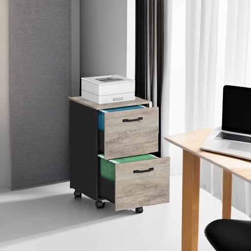 VASAGLE 2-Drawer File Cabinet, Small Rolling Filing Cabinet for Home Office, Printer Stand, for A4, Letter-Size Documents, 15.7 x 16.5 x 27.6 Inches, Heather Greige and Ink Black UOFC040B02-DeskLoop Office