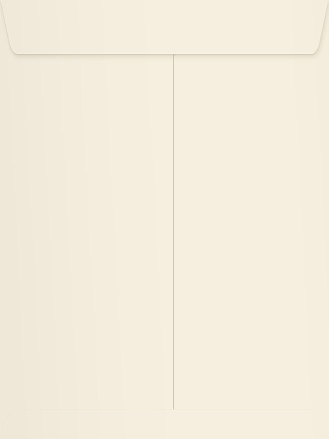 LUXPaper 9 x 12 Open End Envelopes | Peel & Press | Natural | 70lb. Text | 250 by LUXPaper
