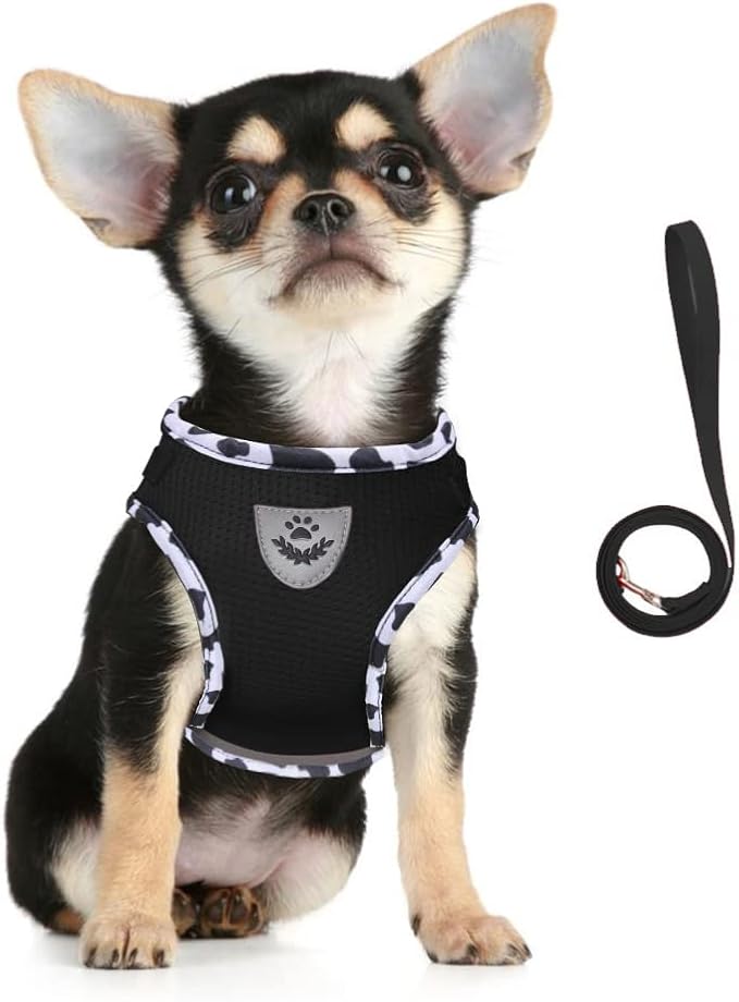 FEimaX Dog Harness and Leash Set by FEimaX