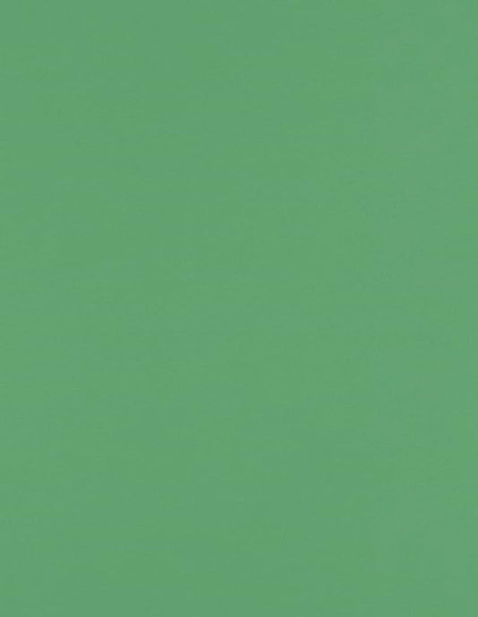 LUXPaper 8.5" x 11" Paper | Letter Size | Holiday Green | 80lb. Text | 50 Qty by LUXPaper