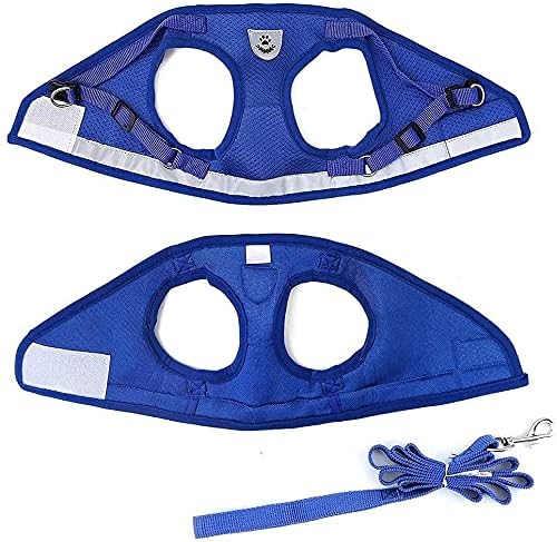 FEimaX Dog Harness and Leash Set - Image 6