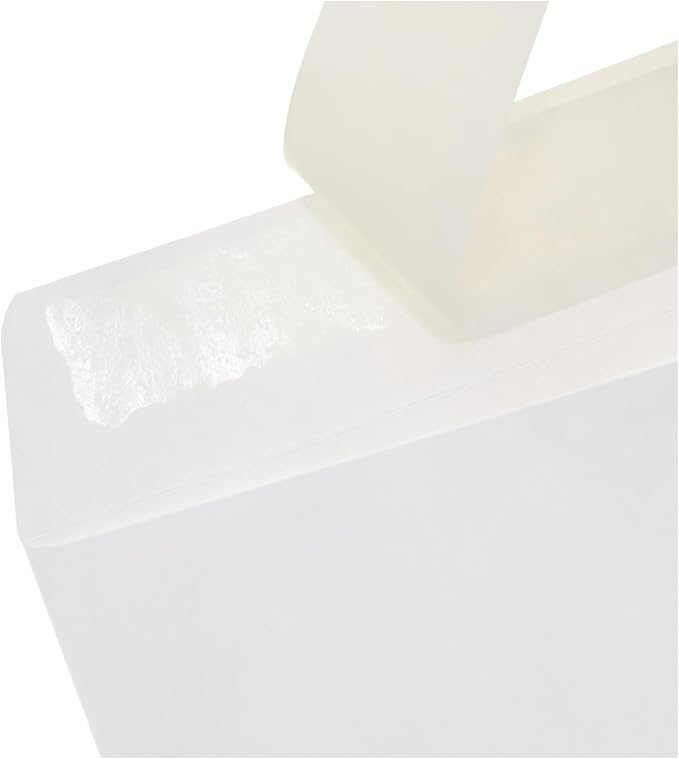 Amazon Basics Catalog Mailing Envelopes, Peel and Seal, 9x12 Inch - Image 3