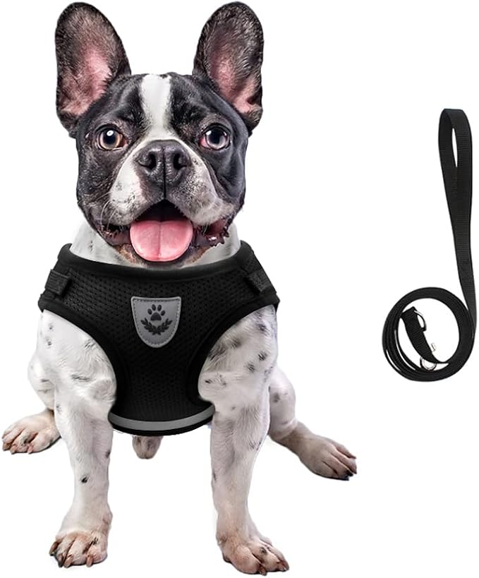 FEimaX Dog Harness and Leash Set by FEimaX