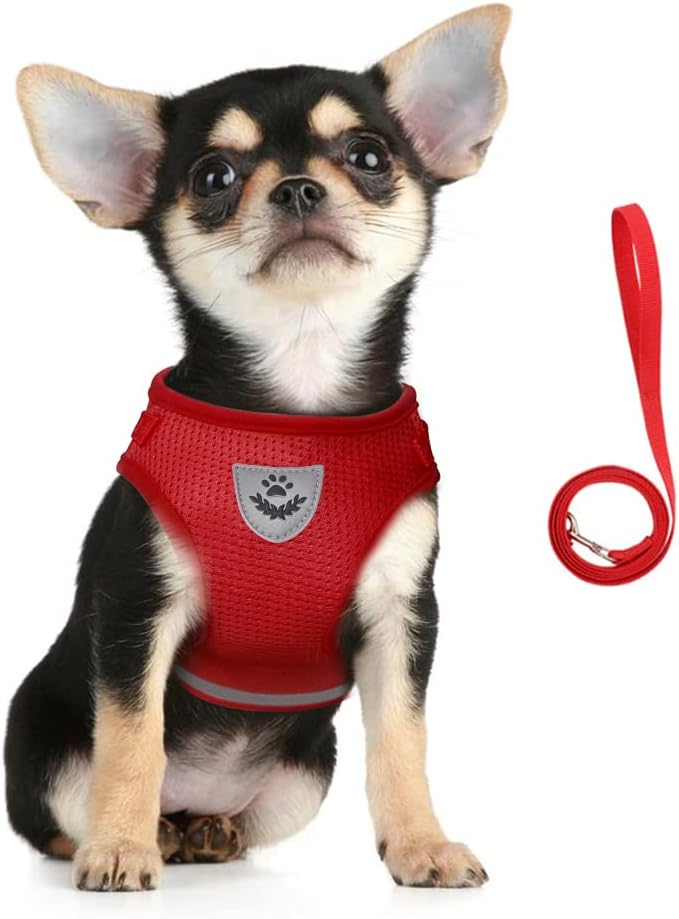 FEimaX Dog Harness and Leash Set by FEimaX