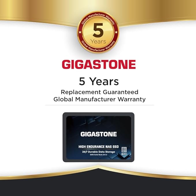 Gigastone 2TB NAS SSD Drive (2-Pack) 24/7 Durable TLC High Endurance RAID Data Storage Network Attached Storage 2.5" SATA Internal Solid State Hard Drives-DeskLoop Office