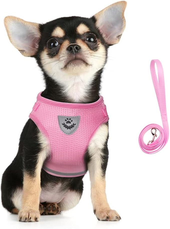 FEimaX Dog Harness and Leash Set by FEimaX