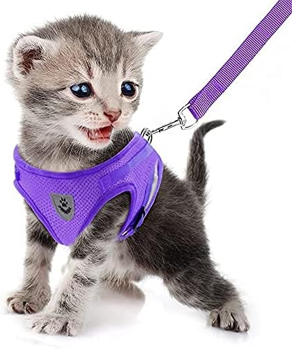 FEimaX Dog Harness and Leash Set - Image 2