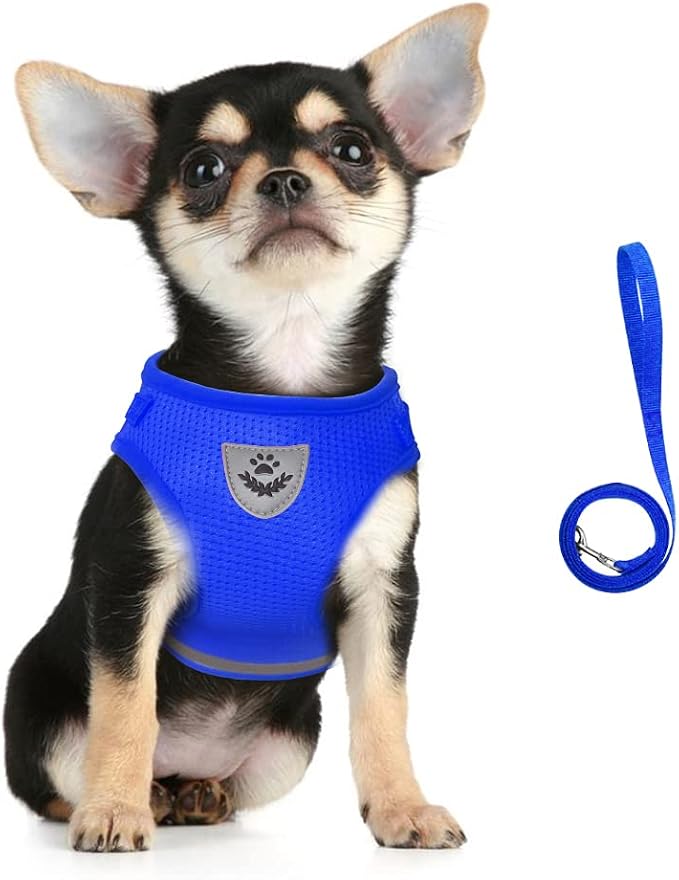 FEimaX Dog Harness and Leash Set by FEimaX
