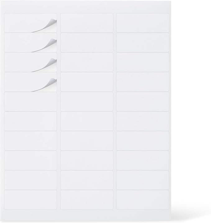 Amazon Basics Printable Address Labels, 3000 Blank Mailing Labels by AmazonBasics