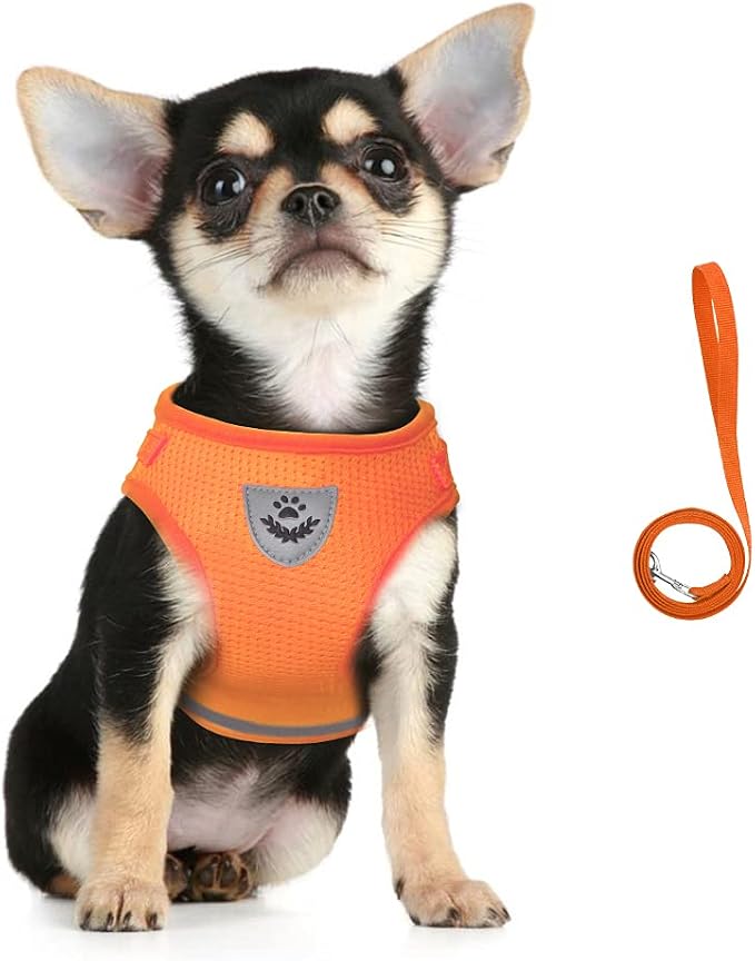 FEimaX Dog Harness and Leash Set by FEimaX