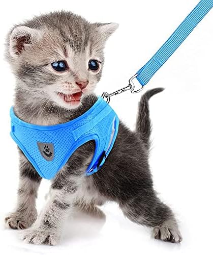 FEimaX Dog Harness and Leash Set - Image 2