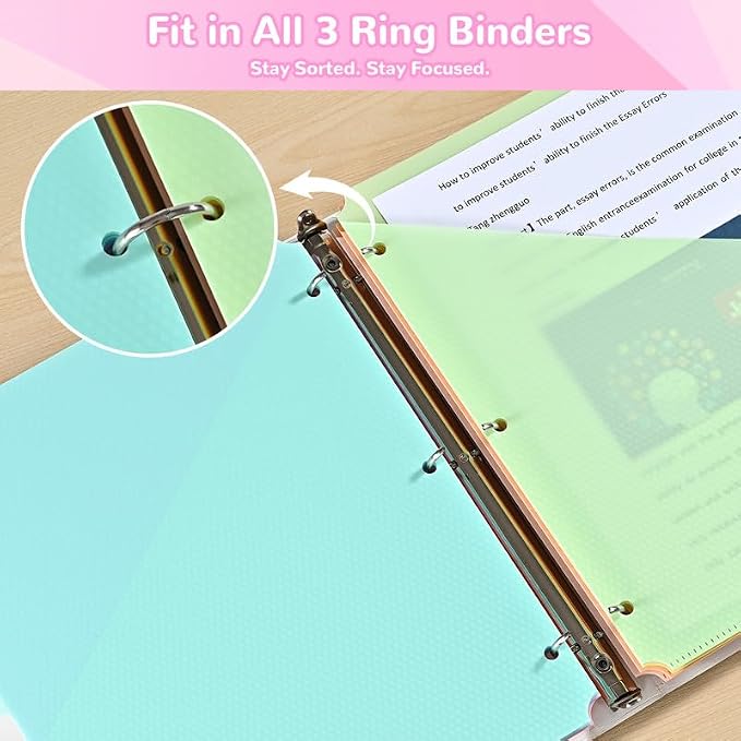 SUIN 8 Tab Binder Dividers - Image 5