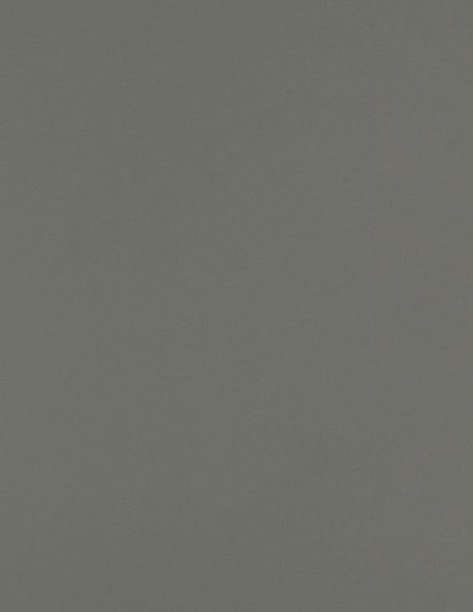 LUXPaper 8.5" x 11" Paper | Letter Size | Smoke Gray | 80lb. Text | 500 Qty by LUXPaper