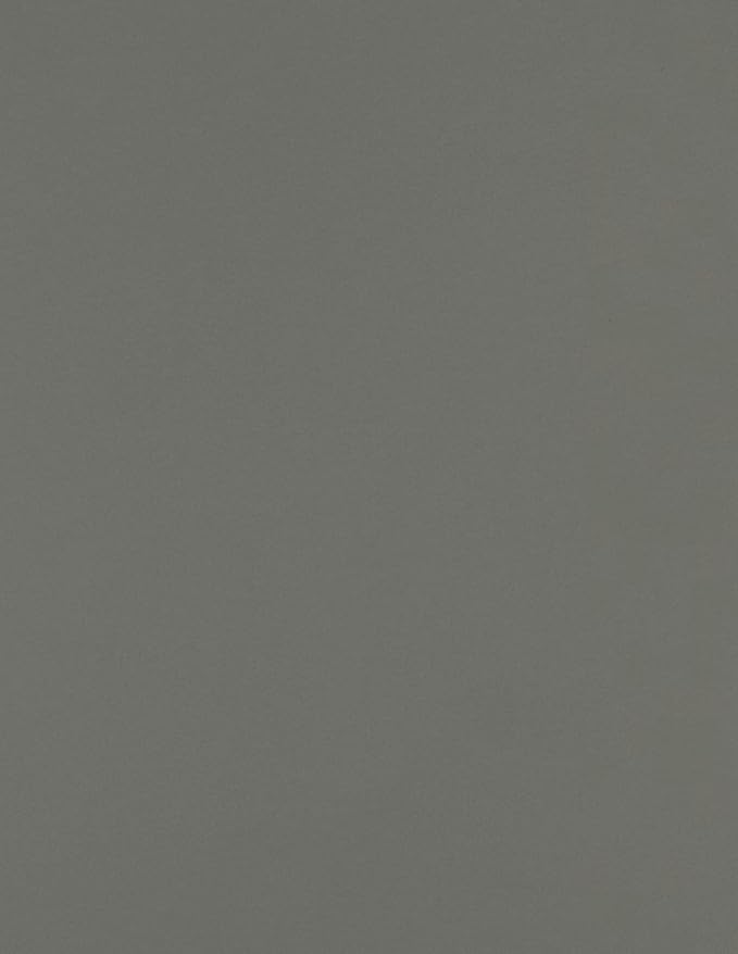 LUXPaper 8.5" x 11" Paper | Letter Size | Smoke Gray | 80lb. Text | 250 Qty by LUXPaper
