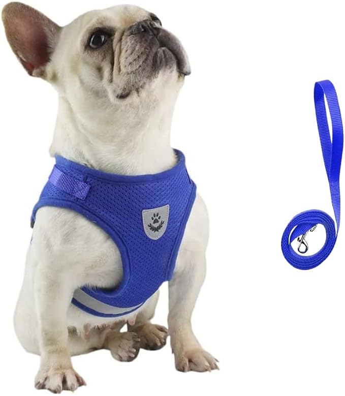 FEimaX Dog Harness and Leash Set - Image 2