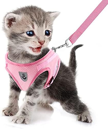 FEimaX Dog Harness and Leash Set - Image 2