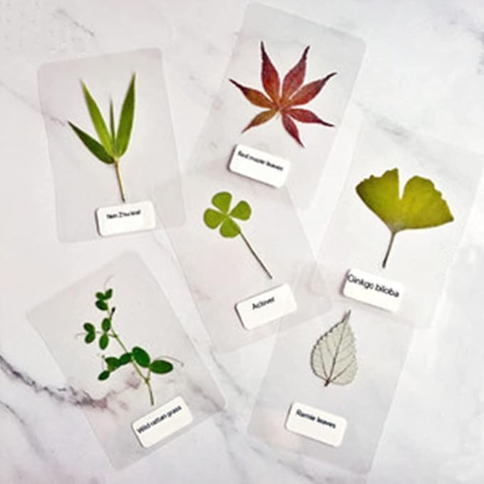 50 Pack Thermal Laminating Pouches, 9 x 11.5-Inches, 3 mil Thick, Clear Laminating Sheets-DeskLoop Office