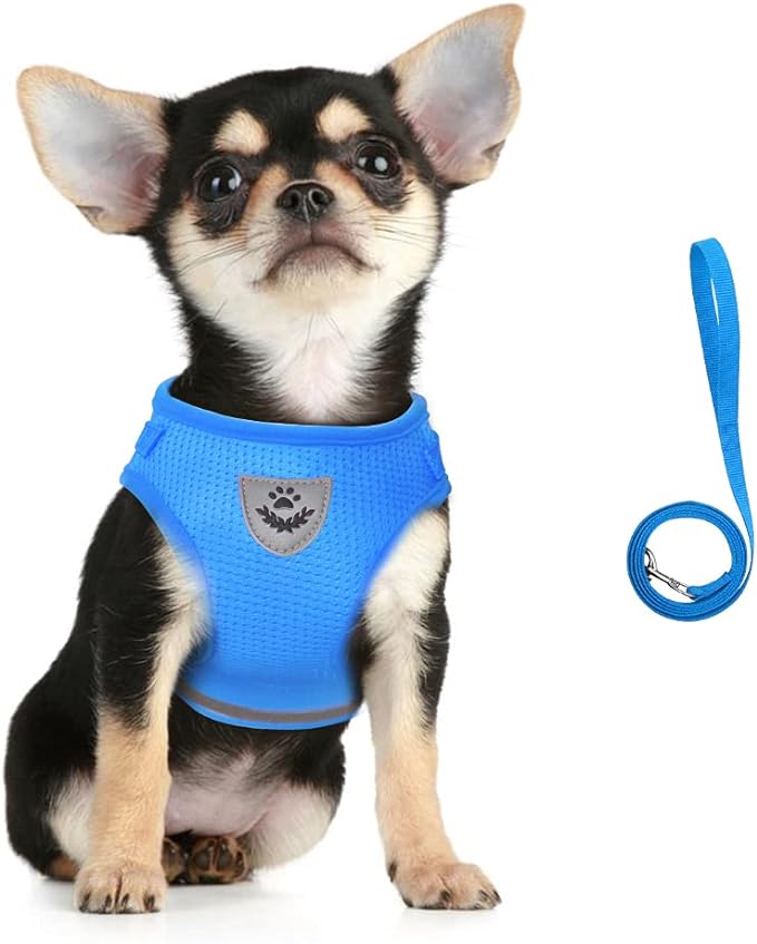 FEimaX Dog Harness and Leash Set by FEimaX