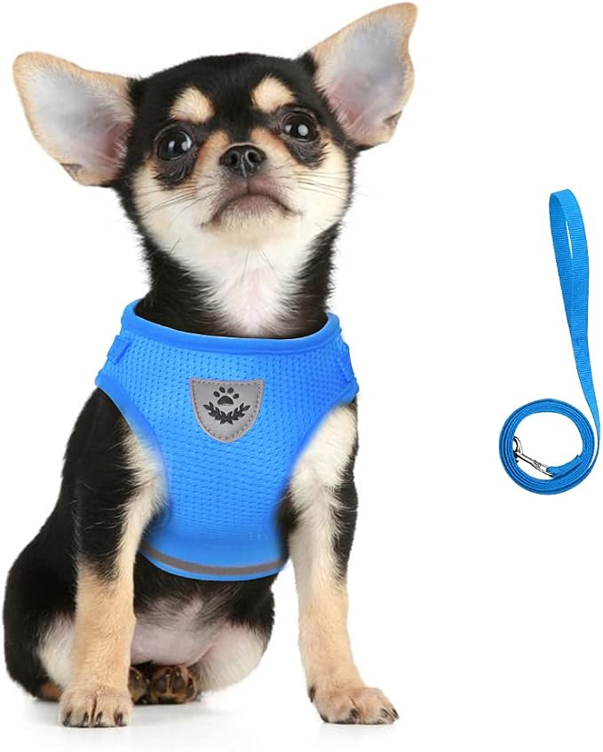 FEimaX Dog Harness and Leash Set by FEimaX
