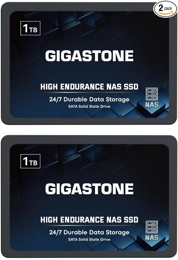 Gigastone 1TB NAS SSD Drive (2-Pack) 24/7 Durable TLC High Endurance RAID Data Storage Network Attached Storage 2.5" SATA Internal Solid State Hard Drives-DeskLoop Office