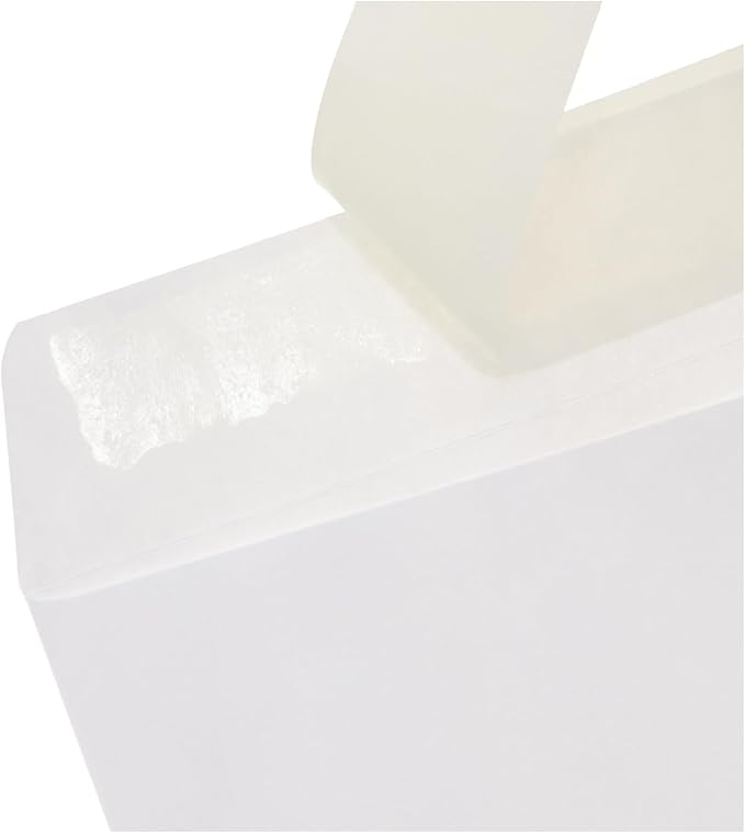 Amazon Basics Catalog Self Seal Envelopes - Image 3