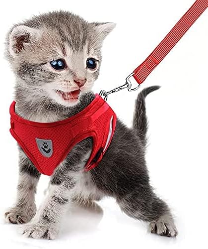 FEimaX Dog Harness and Leash Set - Image 2